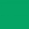Achtergrondpapier (46) Chroma Green 0,57 x 11 m
