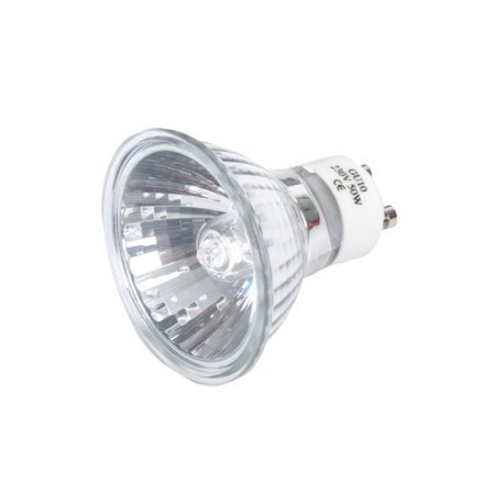 GU10-50 - Halogeen lamp 50 W - 230V - GU-10 voor P-STUDIO